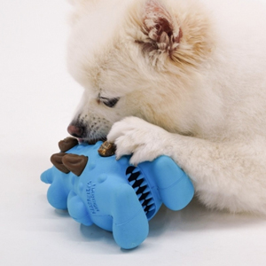 ���߶� �ʸ��� ���� ���� �����ũ �峭��