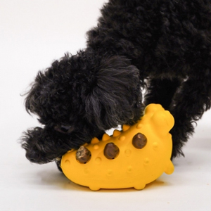 ���߶� �ʸ��� ���ο� ���� �����ũ �峭��